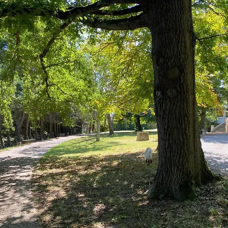 Bed & Breakfast A Laplume