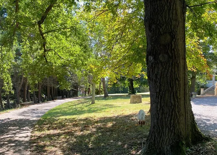 Bed & Breakfast A Laplume